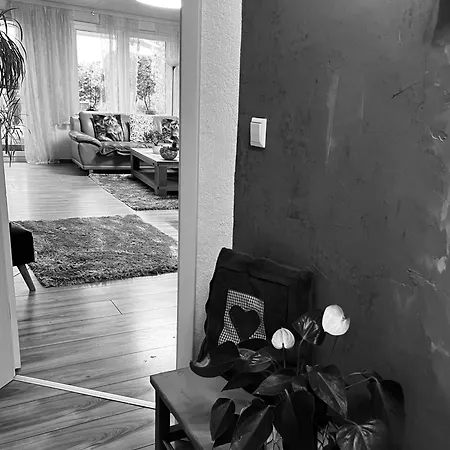 Apartment Fewo Stromberg Auf 2 Etagen *